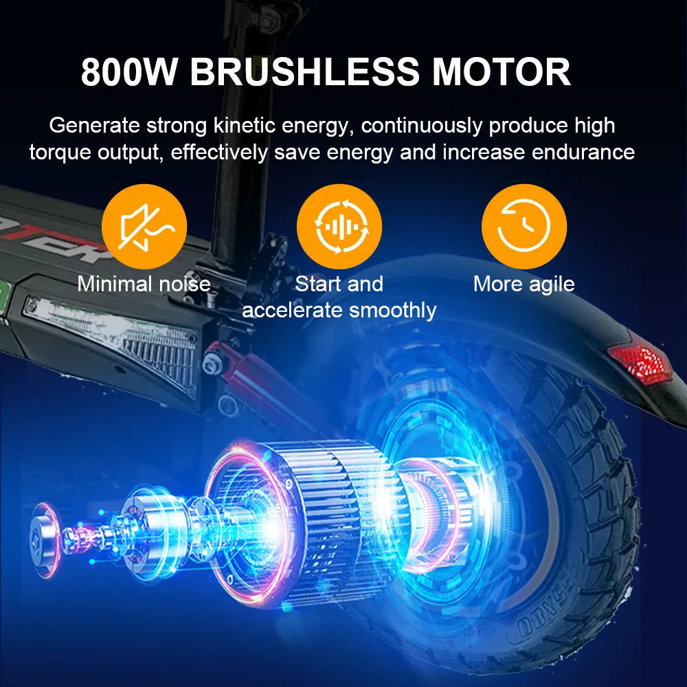 800W Long-Range Electric Scooter
