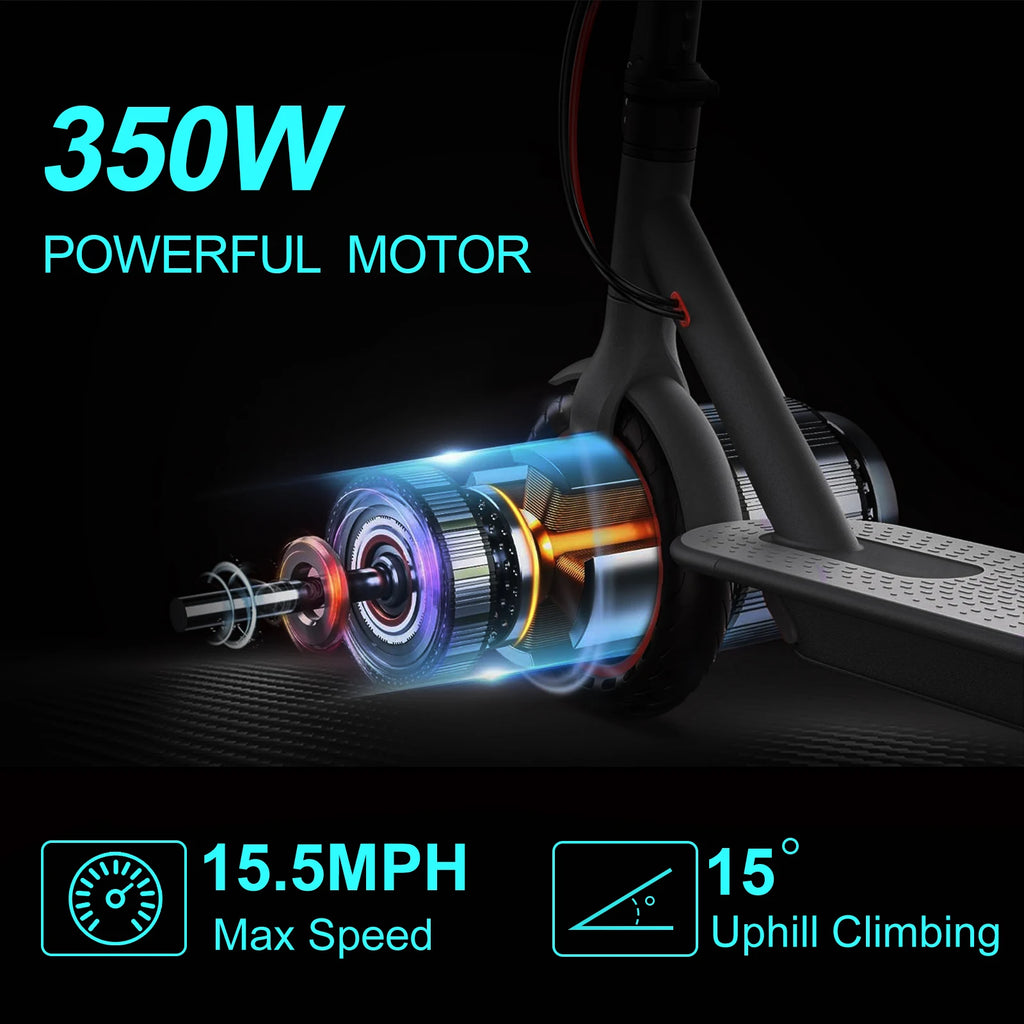 M365 Folding Electric Scooter