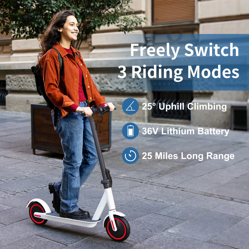 M365 Folding Electric Scooter