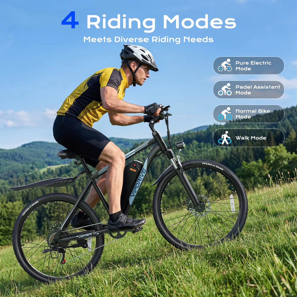 VIPDRIVE Defier Electric Bike