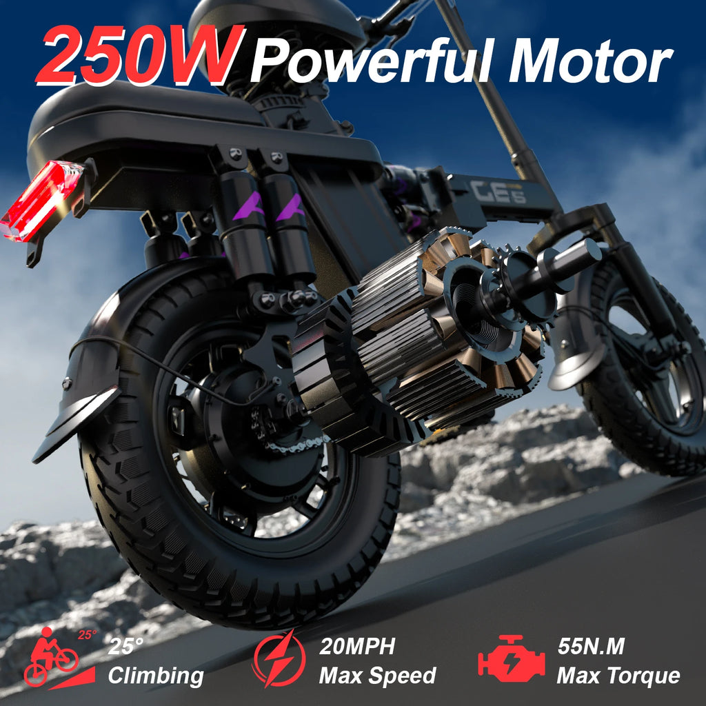 UPIee GE5 Folding Electric Bike